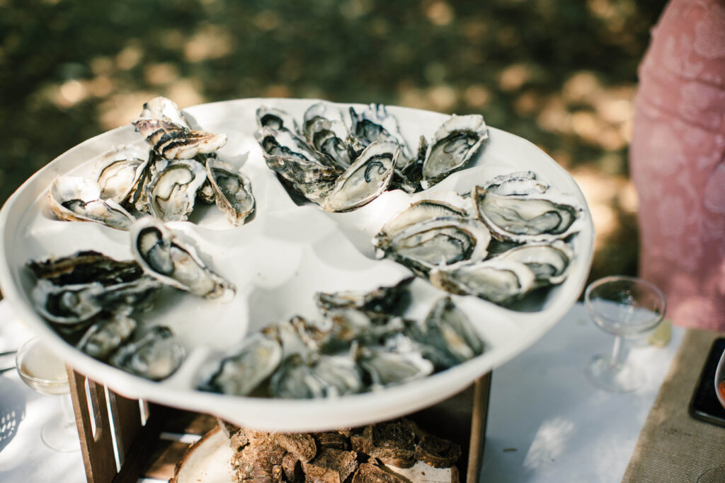 Bryllupsfoto i omgivelser som minner om vingård og landskap i Sør-Europa.